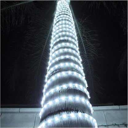 Russell Decor LED Rope Lights Festival Holiday Party Seasonal Christmas Decoration 30ft - 200ft Customized Available (Cool White, 20)