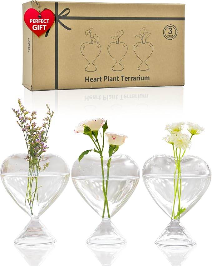 Nacome Small Glass Bud Vases for Flowers: Birthday Gifts for Wife Women Mom Garden Lovers- Set of 3 Heart Plant Terrarium for Wedding Centerpiece Table Office Indoor Home Decor