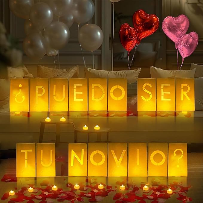 PUEDO SER TU NOVIO? Lighted Letters Sign 17pcs Luminary Paper Bags 2200pcs Red Pink Artificial Rose Petals 48pcs Flameless LED Candle Tealight 15pcs Heart Balloons Romantic Night Valentine's Day