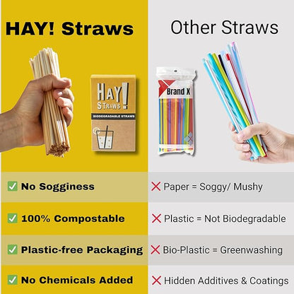 HAY Compostable Drinking Straws 8 Inch Jumbo for Smoothies Milkshake Iced Coffee - 250 Count Biodegradable Never Soggy Plant Based Disposable Eco Friendly - Plastic Free Reed Stem Natural Tall Straws