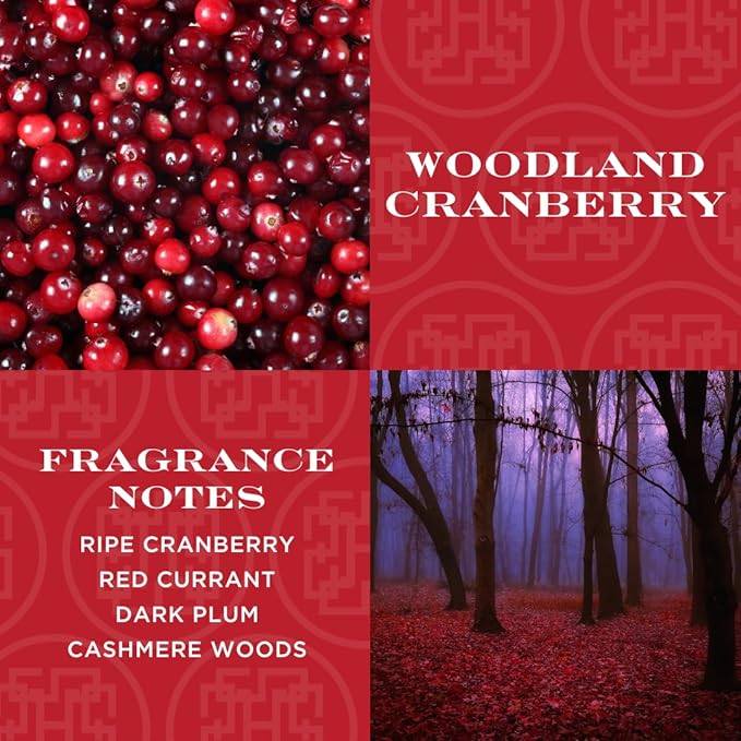 HomeWorx by SLATKIN + CO. Candle- Woodland Cranberry, 8 oz. Premium Scented Candle - 25-35 Hours Burn Time