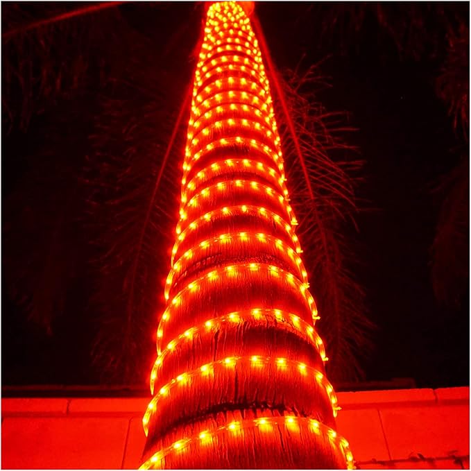 Russell Decor LED Rope Lights Festival Holiday Party Seasonal Christmas Decoration 30ft - 200ft Customized Available (Red, 10)