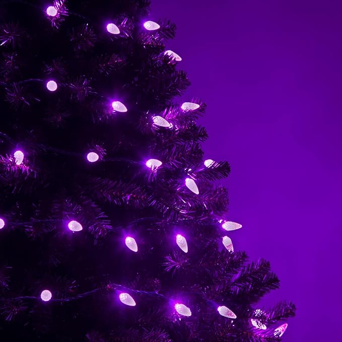 Wintergreen Lighting 70 Count C6 LED Purple Halloween Lights, 24 ft Green Wire Indoor/Outdoor Commercial Grade String, Holiday and Halloween Decorations