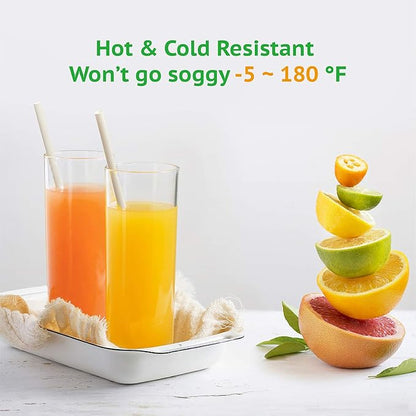 Biodegradable Straws made of Natural Plant | 600 PCS 7.8'' Compostable Eco-Friendly Drinking Straws Disposable | Durable for Hot & Cold Drinks