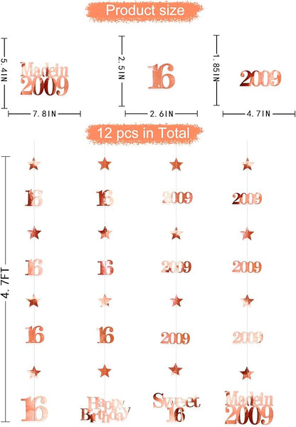 12PCS Rose Gold 16th Birthday Decorations Number 16 and 2009 Star Garland Streamer Banner Backdrop for Girls Boys Cheers to 16 Years Birthday Vintage Made in 2009 Sweet Sixteen Party Decor Supplies