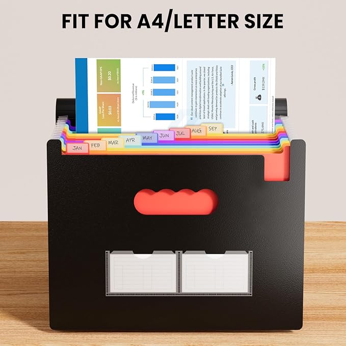 Sooez Accordion File Organizer, 13 Pockets Expanding File Folder, Portable Monthly Paper Bill Tax Receipt Organizer, Letter A4 Size Document Holder with Blank Labels