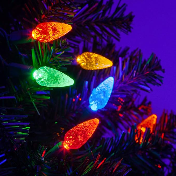 Wintergreen Lighting 70 C6 LED String Christmas Lights (Multicolor)