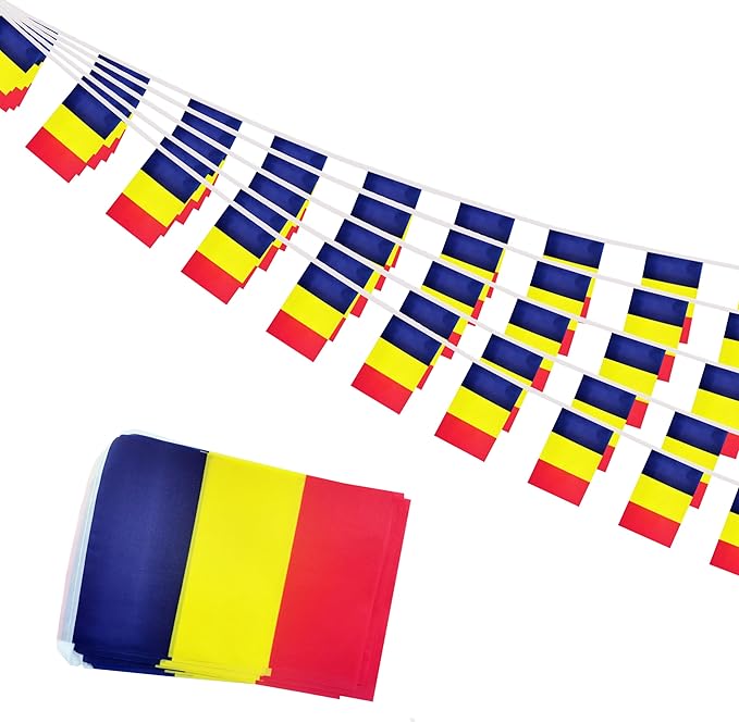 Romania Small String Flags, 50 Feet 38 Pcs Romanian Pennant Banner Bunting Flags, Patriotic Events, Independence Day, Country Festival, Commemoration, Decorations (Romania)