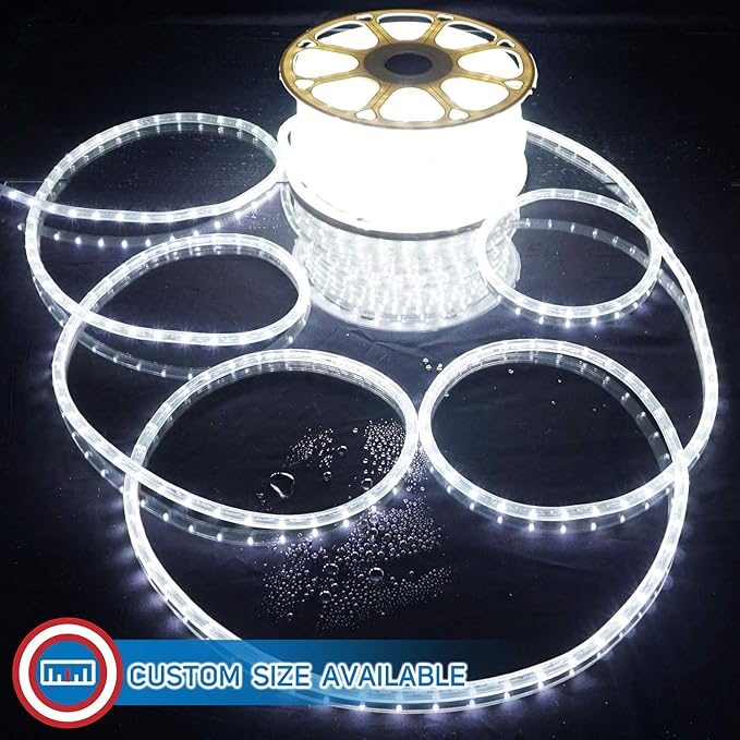 Russell Decor LED Rope Lights Festival Holiday Party Seasonal Christmas Decoration 30ft - 200ft Customized Available (Cool White, 40)
