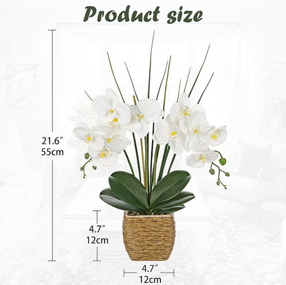 Hollyone 21.6" White Orchid Artificial Flowers Fake Orchid in Rattan Woven Vase Faux Orchids Phalaenopsis Arrangement in Pot for Office Table Centerpiece Shelf Wedding Indoor Outdoor Home Decor