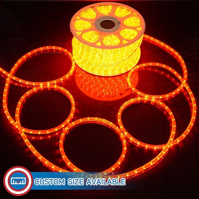 Russell Decor LED Rope Lights Festival Holiday Party Seasonal Christmas Decoration 30ft - 200ft Customized Available (Red, 10)