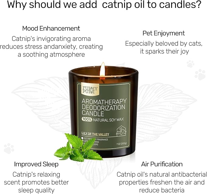 Odor Eliminating Candle, Berry Rum Scented Candle, Pet-Friendly Soy Candles, 60 Hours, 7 oz