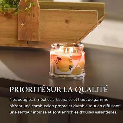 PartyLite Raw Honey & Elderberry Scented, Notes of Alpine Elderflower, Soft Jasmine & Golden Amber, 13.2oz 3-Wick Jar Candle, 45 Hour Burn Time, Luxurious Fragrance, Ideal for Gifting