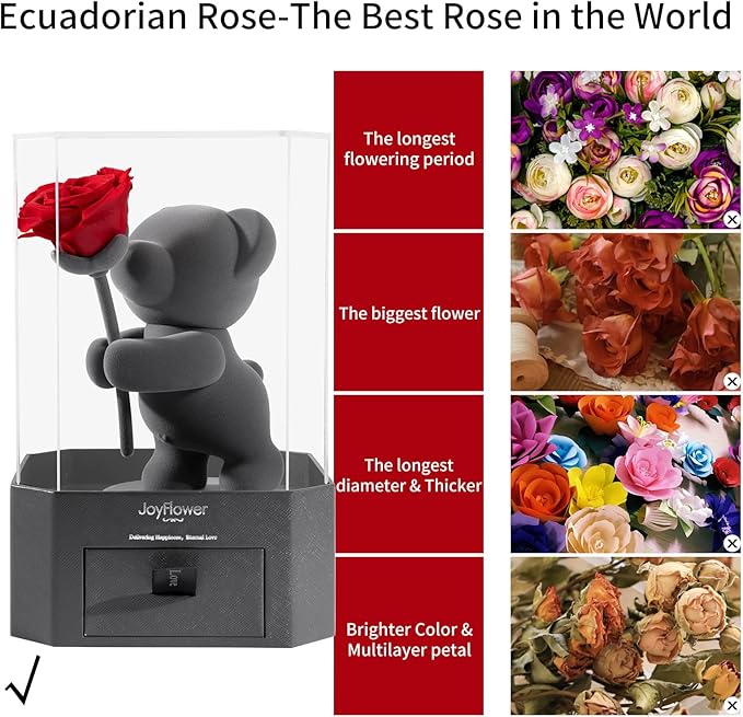 JoyFlower Preserved Flowers with Cute Teddy Bear, Eternal Real Rose Romantic Gift with Acrylic Cover & Gift Box for Girlfriend Wife Her in Valentine's Day, Birthday, Weddings, Anniversaries, Christmas