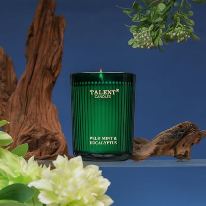 Jar Candles for Home Scented, Aromatherapy Candles Gifts for Women & Men, Natural Soy Candle, 8.4oz Traditional Style, Wild Mint & Eucalyptus