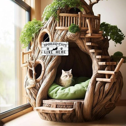 Cat Wall Decor For Pet Lovers Hanging Wooden Home Decor Fall Welcome Sign Christmas Decor Spoiled Cats And Their Staff Live Here - People Tolerated 12x6 In