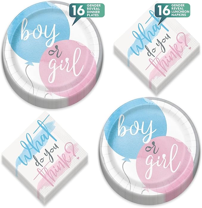 HOME & HOOPLA Baby Shower Gender Reveal Party Pink & Blue Watercolor Paper Dinner Plates and Lunch Napkins (Serves 16)