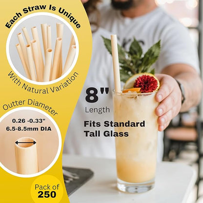 HAY Compostable Drinking Straws 8 Inch Jumbo for Smoothies Milkshake Iced Coffee - 250 Count Biodegradable Never Soggy Plant Based Disposable Eco Friendly - Plastic Free Reed Stem Natural Tall Straws