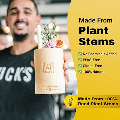 HAY Compostable Drinking Straws 8 Inch Jumbo for Smoothies Milkshake Iced Coffee - 15 Count Biodegradable Never Soggy Plant Based Disposable Eco Friendly - Plastic Free Reed Stem Natural Tall Straws
