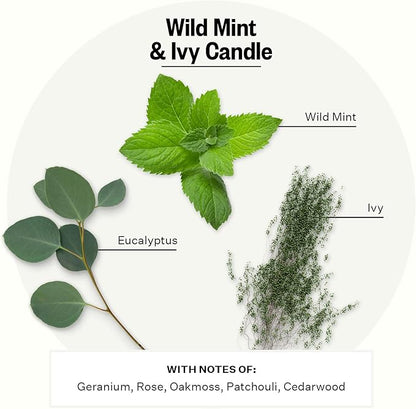 Apotheke 3-Wick Scented Candles for Home, Wild Mint & Ivy - 26 oz Soy Wax Jar Candle Gift for Women - Long-Lasting Fragrance with Perfume-Grade Essential Oils - Eucalyptus, Patchouli, Cedarwood & Rose