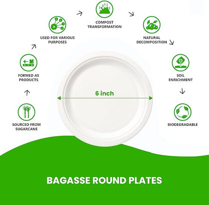 Round Compostable Plates, Disposable Sturdy, Sugarcane Biodegradable, Microwave Freezer Safe for Parties, Weddings, Events (6 Inch, 250, Count)