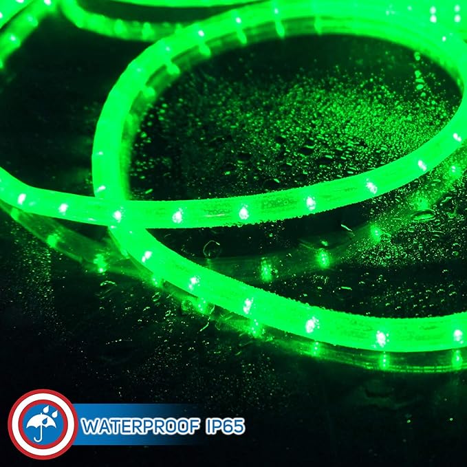 Russell Decor LED Rope Lights Festival Holiday Party Seasonal Christmas Decoration 30ft - 200ft Customized Available (Green, 10)