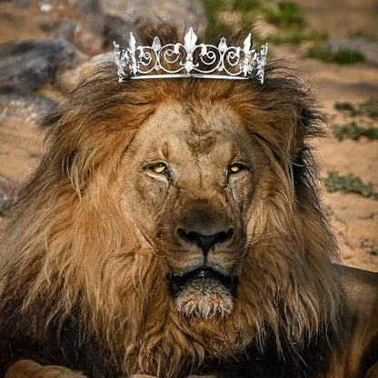 AOPRIE King & Queen Artemis Tiara and Crown for Women Men Crystal Hair Accessories for Wedding Prom Bridal Birthday Party Halloween Costume Christmas Gifts Silver Princess Tiara for Girls Boys