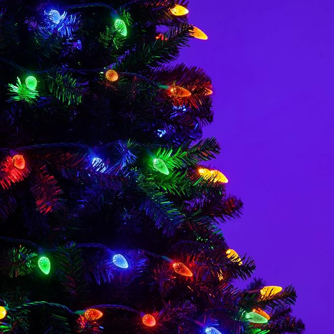 Wintergreen Lighting 70 C6 LED String Christmas Lights (Multicolor)