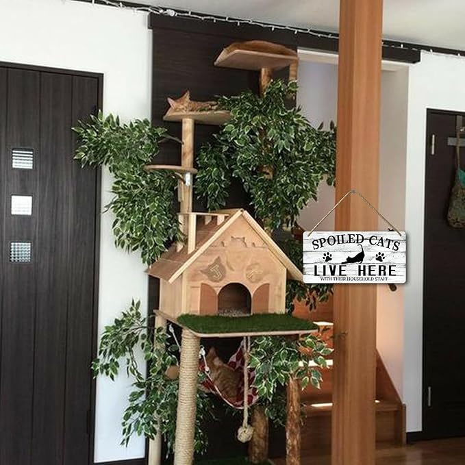 Cat Wall Decor For Pet Lovers Hanging Wooden Home Decor Fall Welcome Sign Christmas Decor Spoiled Cats And Their Staff Live Here - People Tolerated 12x6 In