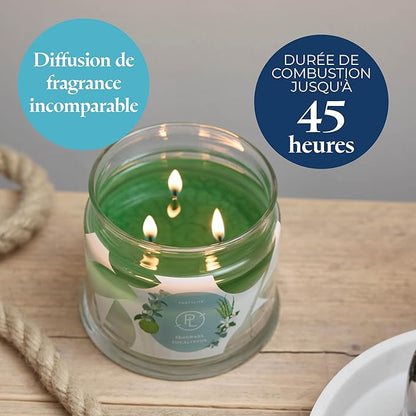 PartyLite Sea Grass Eucalyptus Scented, Notes of Eucalyptus, Lemon, Seagrass & Driftwood, 13.2oz 3-Wick Jar Candle, 45 Hour Burn Time, Luxurious Fragrance, Ideal for Gifting