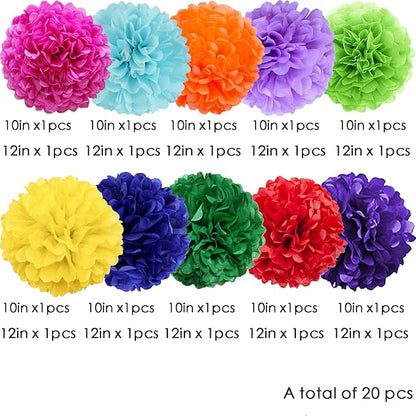 We Moment Colorful Tissue Paper Flowers Decorations for Birthday Mexican Party Party Decor Ceiling Wall Hanging Tissue Pom Poms 20pcs