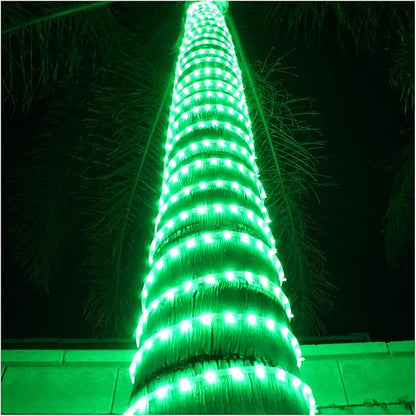 Russell Decor LED Rope Lights Festival Holiday Party Seasonal Christmas Decoration 30ft - 200ft Customized Available (Green, 40)