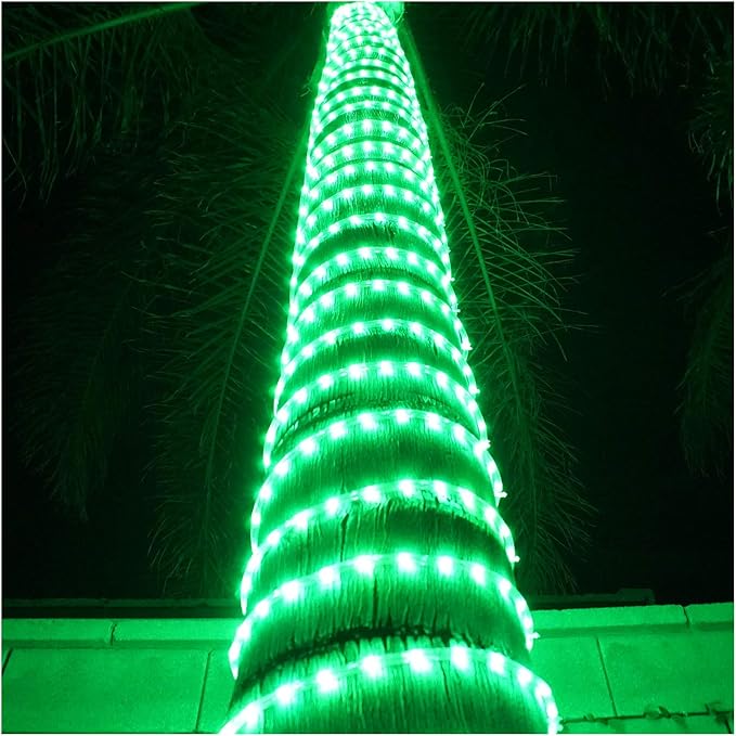 Russell Decor LED Rope Lights Festival Holiday Party Seasonal Christmas Decoration 30ft - 200ft Customized Available (Green, 10)