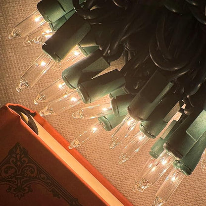 HISHINY Christmas Lights 100 Count Clear Christmas Tree Lights String with Green Wire for Outdoor Indoor Christmas Decorations Wedding Decorations Valentines Day Decor,UL Certified (21feet)