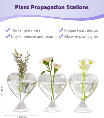 Nacome Small Glass Bud Vases for Flowers: Birthday Gifts for Wife Women Mom Garden Lovers- Set of 3 Heart Plant Terrarium for Wedding Centerpiece Table Office Indoor Home Decor