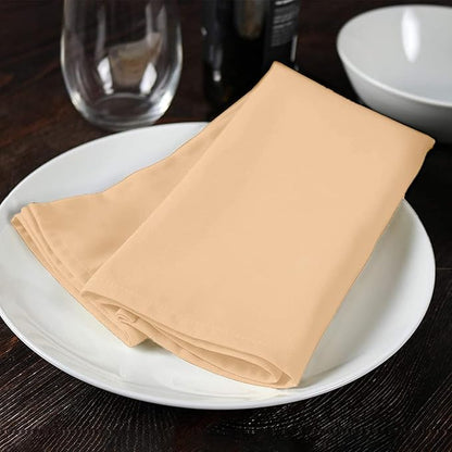 Beige Cloth Napkins Bulk (Pack of 24) - 100% Polyester Dinner Linen Napkins Cloth Washable & Reusable - Durable with Hemmed Edges - Ideal for Parties and Weddings (17x17 Inches)