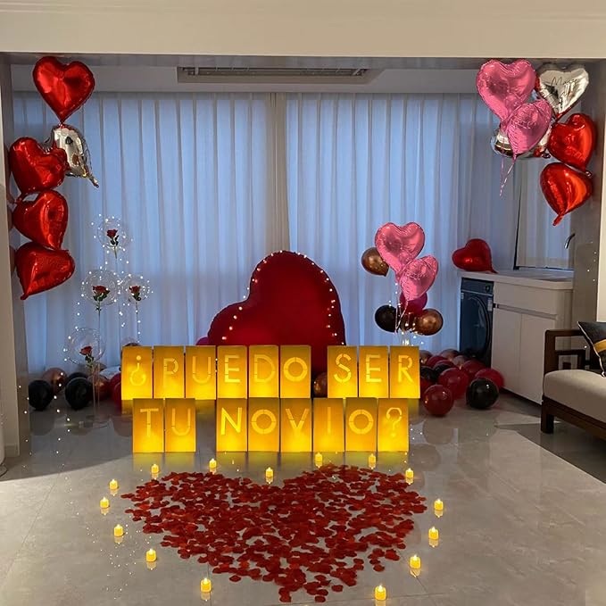 PUEDO SER TU NOVIO? Lighted Letters Sign 17pcs Luminary Paper Bags 2200pcs Red Pink Artificial Rose Petals 48pcs Flameless LED Candle Tealight 15pcs Heart Balloons Romantic Night Valentine's Day