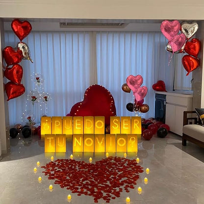 PUEDO SER TU NOVIO? Lighted Letters Sign 17pcs Luminary Paper Bags 2200pcs Red Pink Artificial Rose Petals 48pcs Flameless LED Candle Tealight 15pcs Heart Balloons Romantic Night Valentine's Day