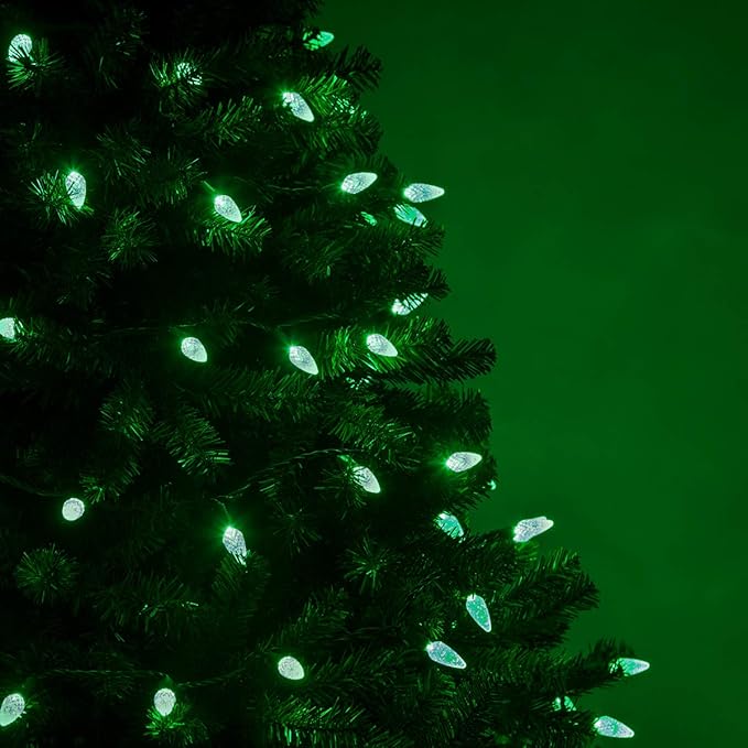 Wintergreen Lighting 70 Light Christmas Light