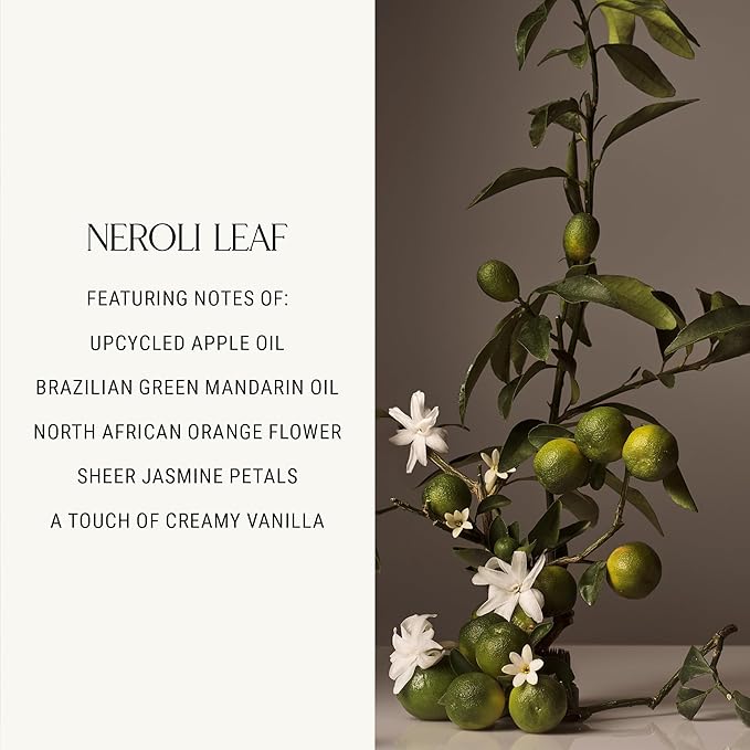Homecourt Luxury Scented Candle, 60-Hour Burn Time, Soy Wax Blend & Organic Cotton Wick, Kiln-Fired Reusable Ceramic Vessel, Neroli Leaf, 8 oz