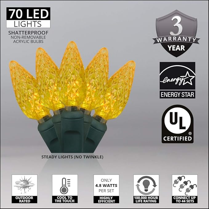 Wintergreen Lighting 24 ft 70 Count C6 Faceted Gold LED Christmas Lights, Green Wire Indoor/Outdoor Commercial Grade String for Holiday Decor