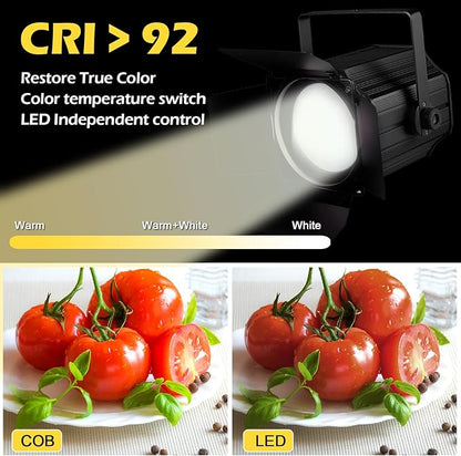200W LED Stage Light, COB Par Lights with Barn Doors, DMX Blinder Stage Lighting Sound Activated for Wedding Live Show Christmas Party (Warm White & Cool White 1PC)