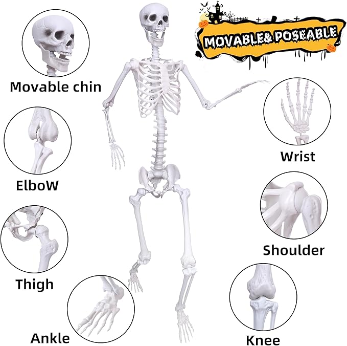 Wocst 6Ft Life Size Skeleton Posable Skeleton with Movable Joints Halloween Full Body Plastic Human Bones with 2PCS Black Crows for Halloween Indoor Outdoor Decor