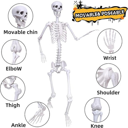 Wocst 6Ft Life Size Skeleton Posable Skeleton with Movable Joints Halloween Full Body Plastic Human Bones with 2PCS Black Crows for Halloween Indoor Outdoor Decor