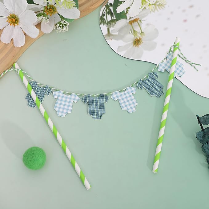 Green Baby Shower Cake Topper - Green Bodysuit Gingham Cake Topper,Gender Reveal Decor,Baby Shower Cake Decorations,Gingham Onesie Party Decorations (green-1)