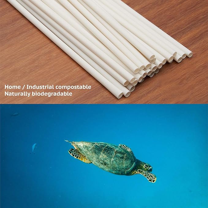 Biodegradable Straws made of Natural Plant | 600 PCS 7.8'' Compostable Eco-Friendly Drinking Straws Disposable | Durable for Hot & Cold Drinks