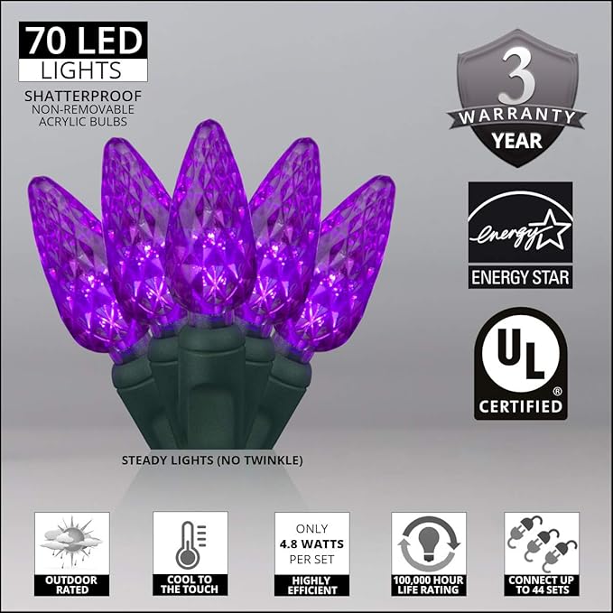 Wintergreen Lighting 70 Count C6 LED Purple Halloween Lights, 24 ft Green Wire Indoor/Outdoor Commercial Grade String, Holiday and Halloween Decorations