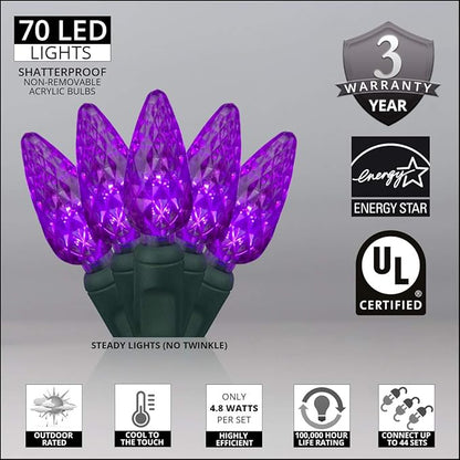 Wintergreen Lighting 70 Count C6 LED Purple Halloween Lights, 24 ft Green Wire Indoor/Outdoor Commercial Grade String, Holiday and Halloween Decorations
