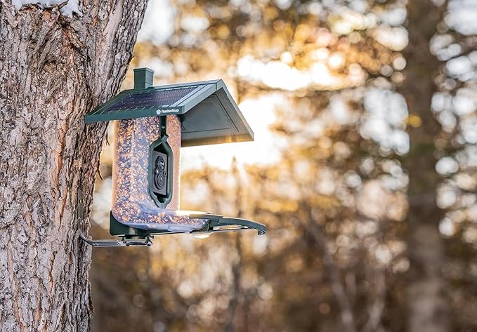 Smart Bird Feeder: AI Bird ID, Solar Power, Wi-Fi Connectivity, Sends HD Pictures and Videos to Your Phone, Two Seed Bins, Multiple Mounting Options - Best Smart Bird Feeder