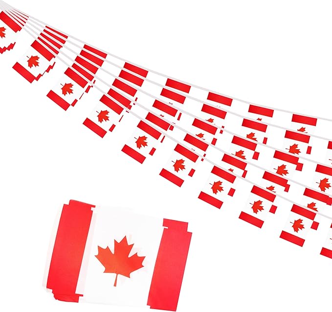 Canada Small String Flags, 50 Feet 38 Pcs Canadian Pennant Banner Bunting Flags, Patriotic Events, Independence Day, Country Festival, Commemoration, Decorations (Canada)